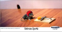 Souris de l'extrême