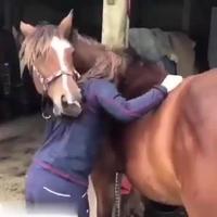 Échange de bons procédés 