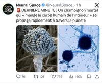 Sur une note plus joyeuse