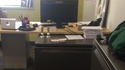 Pendant ce temps, au bureau