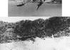 Bombardier Douglas du 387th squadron...