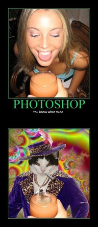 Utilisation de Photoshop