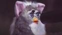 Shoot dans le Furby