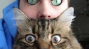 Cat's Eyes