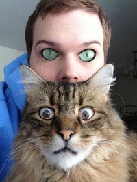 Cat's Eyes