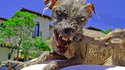 Ugly Dog