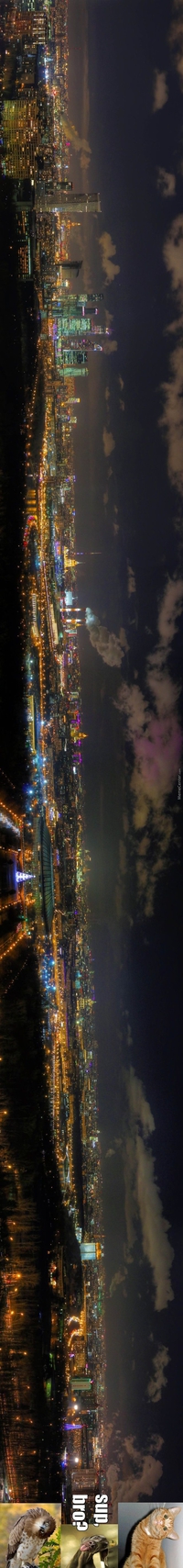 Panoramique