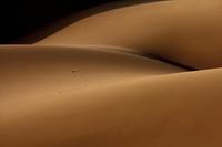 Belles dunes