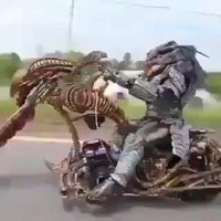 Alien motard