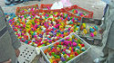 Poussins multicolores