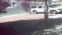 Un chat sauve un petit garçon d'une attaque de chien