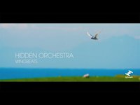 Hidden Orchestra - Wingbeats
