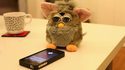 Siri et les Furby
