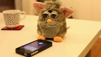 Siri et les Furby
