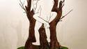 Branchages
