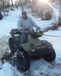 Régis déracine un arbre