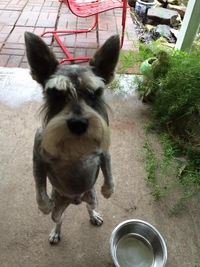J'ai faim !