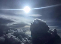 Ils sont partout 392