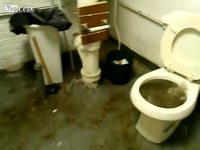 Salle d'eau