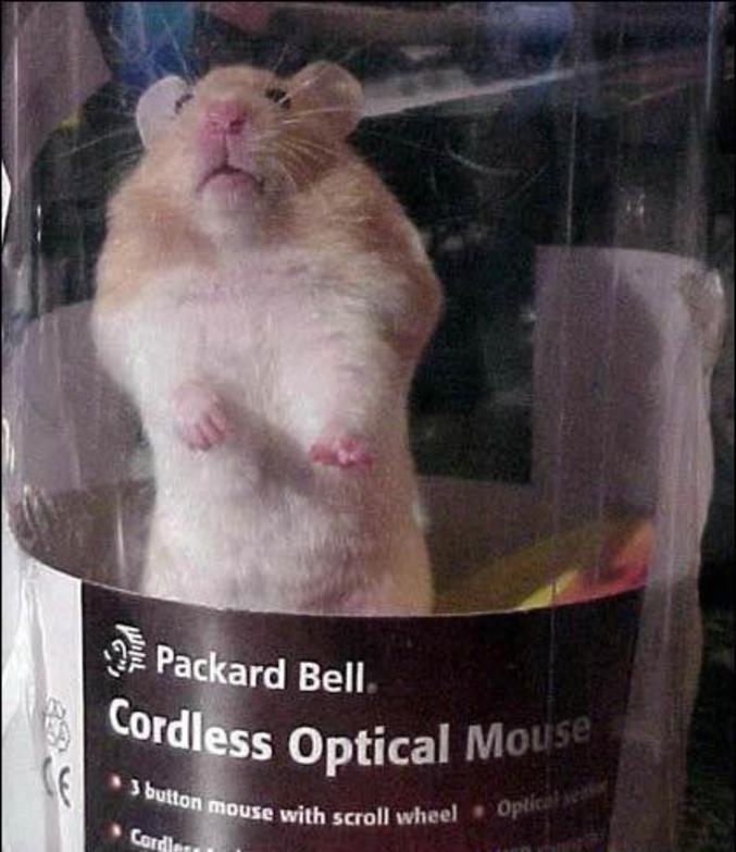 Nouvelle génération de souris sans fil.