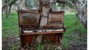 Il jouait du piano debout de bois.