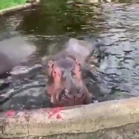 Vous prendriez bien un fruit ?