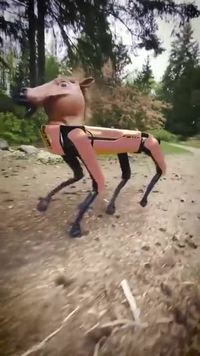 Boston dynamics, LA boite sérieuse