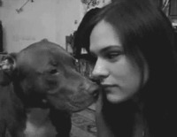 Chien roulette