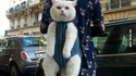 Promener son chat...
