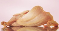 Poulette sexy