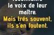 Vous le sachiez déjà
