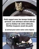 Attention hivernale 