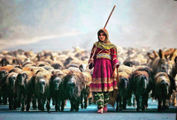 Bergère dans le disctrict Multan, Pakistan