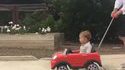 They see me rollin
