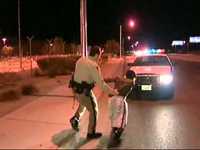Giant Coocoo sous acide vs policier