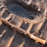 Lombric des sables ?