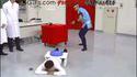 TV japonaise 2