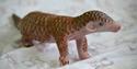 Bébé pangolin