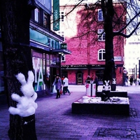 Lapins crétins en hiver