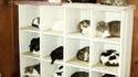 Dortoir pour chats