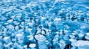 Bulles de méthane gelées dans un lac
