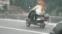 Chien à scooter