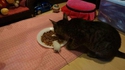 Partager un repas