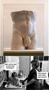 Localisation de la pensée masculine