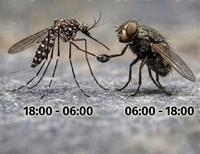 Ils sont de retour !
