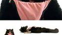 Sac de couchage ours