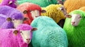 En couleurs