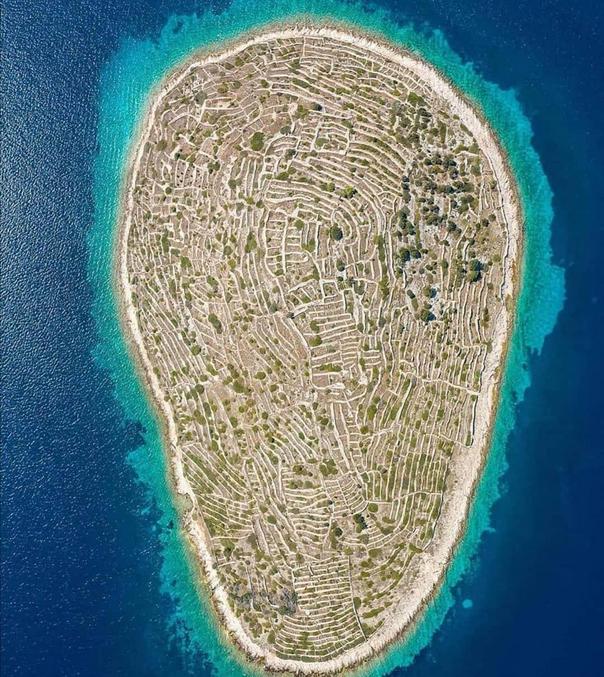 Sillonnée de 23 kilomètres de murs construits pour établir des terrasses et augmenter la surface cultivable, elle ressemble vue du ciel à une empreinte digitale.
Crédits photo : sibenski.slobodnadalmacija.hr
Plus de photos ici de l'île ici : https://www.amusingplanet.com/2017/03/this-croatian-island-looks-like-giant.html