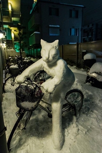 Bonchat de neige