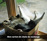 Pendant ce temps, chez Schrödinger